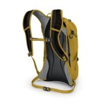 Osprey Syncro 12